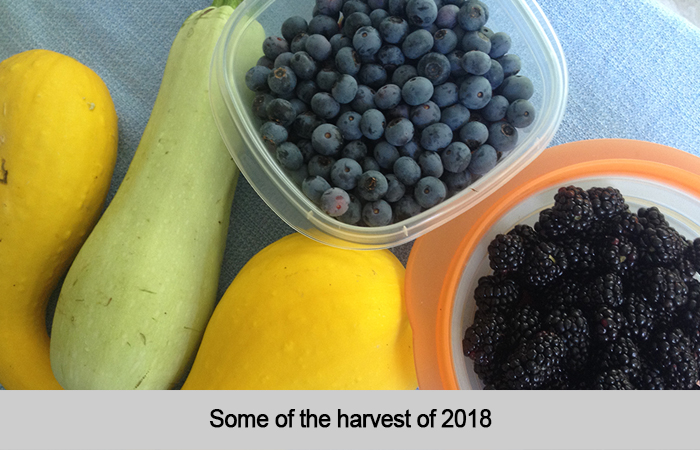 Some of 2018 Harvest at St Francis Cottage