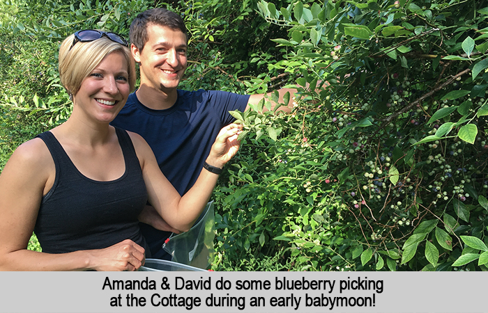 Amanda and David do some blueberry picking at the Cottage during an early babymoon.