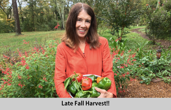Nancy with Surprise Fall Pepper Crop